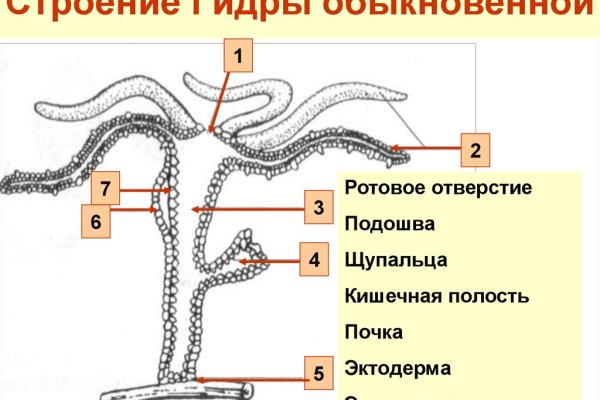 Кракен упал