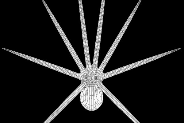 Кракен русский