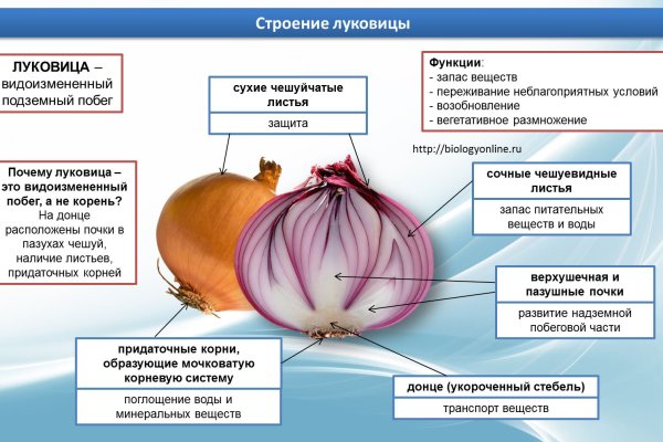 Как зайти на кракен браузеры