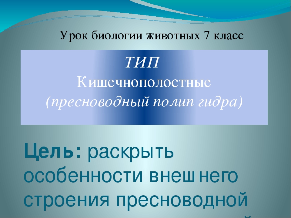 Что с кракеном сайт